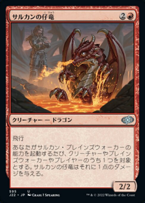 サルカンの仔竜