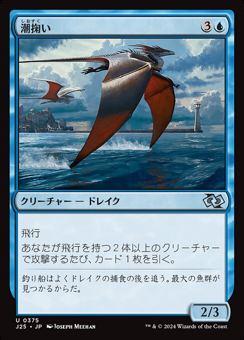 Tide Skimmer
