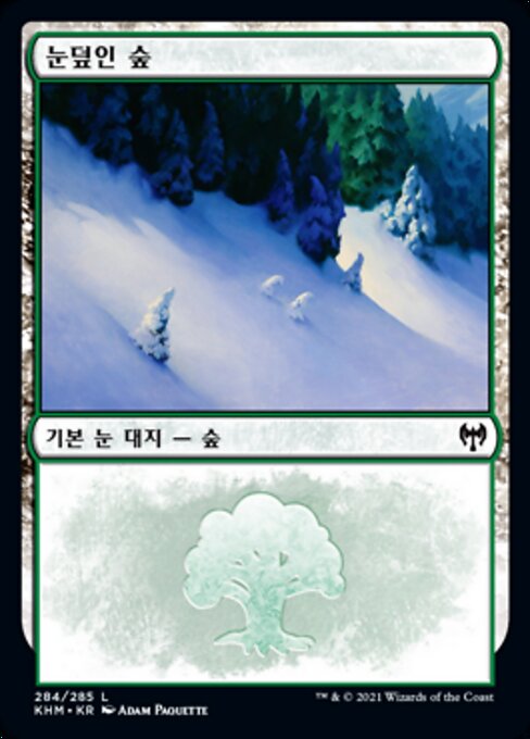 Snow-Covered Forest