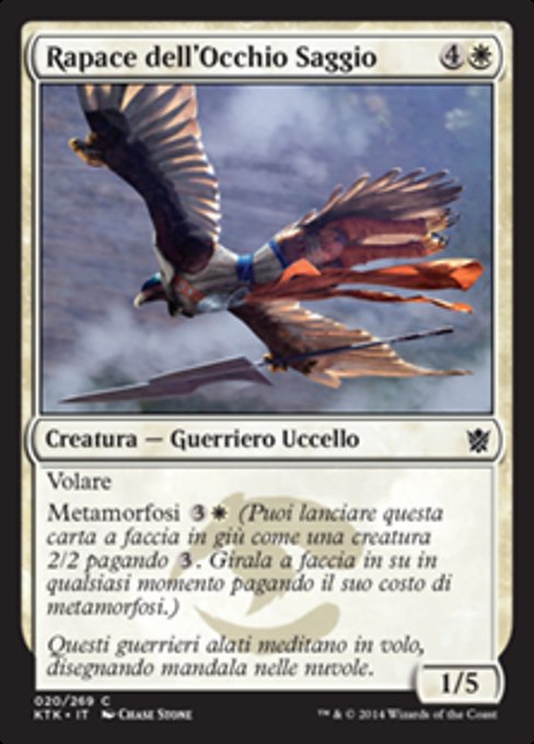 Rapace dell'Occhio Saggio