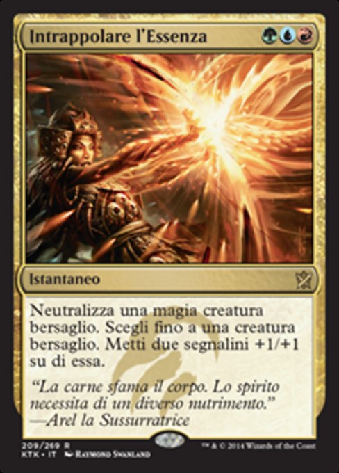 Intrappolare l'Essenza