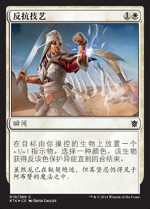 反抗技艺