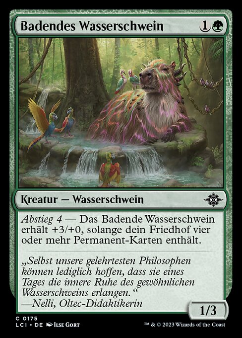 Badendes Wasserschwein