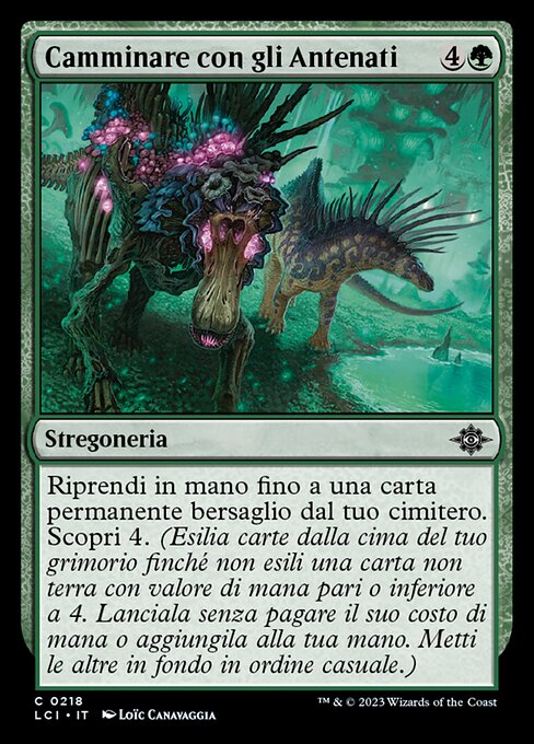 Camminare con gli Antenati