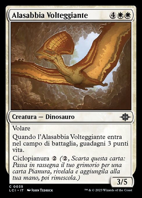 Soaring Sandwing