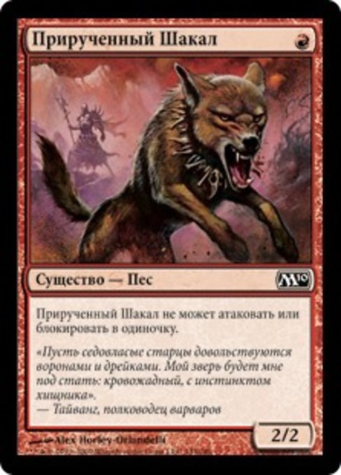 Прирученный Шакал