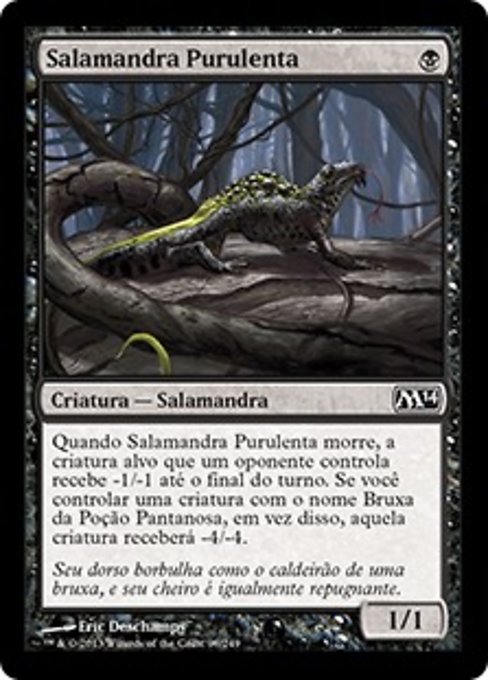 Salamandra Purulenta