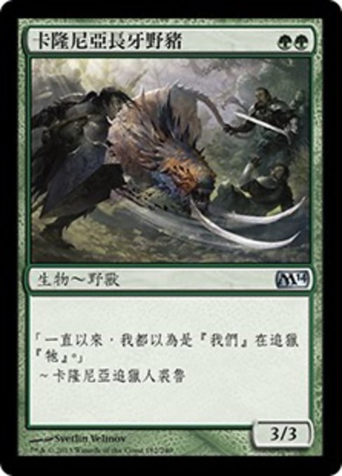 卡隆尼亞長牙野豬