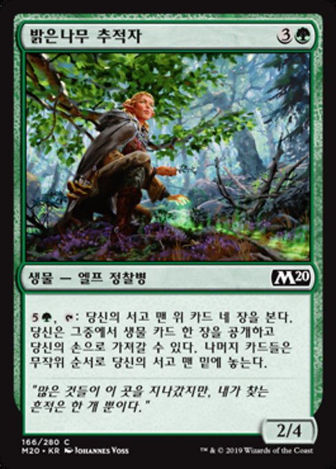 밝은나무 추적자