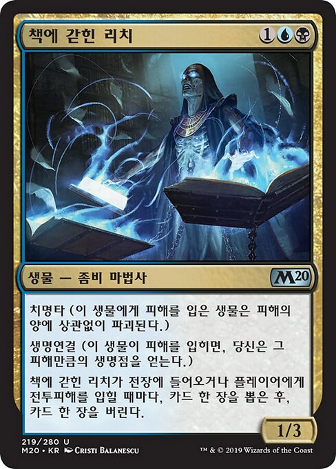 책에 갇힌 리치