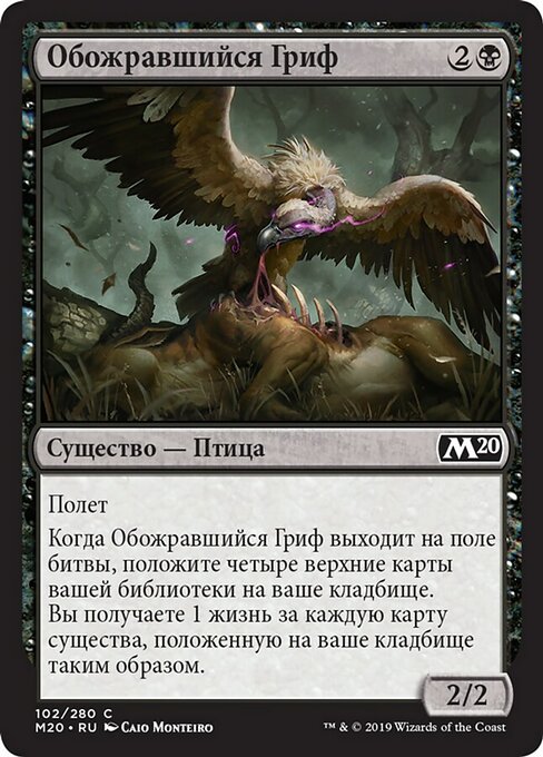 Обожравшийся Гриф