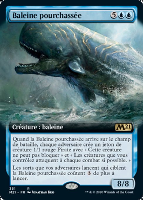 Baleine pourchassée