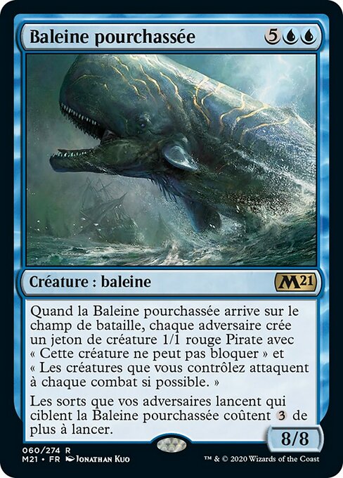 Baleine pourchassée