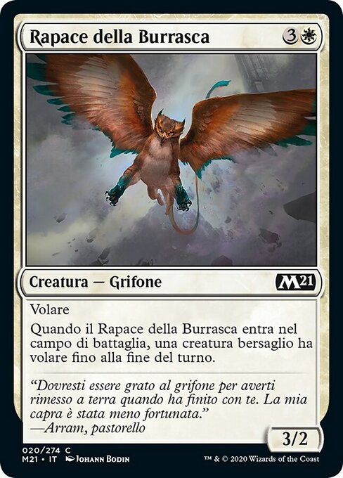 Rapace della Burrasca