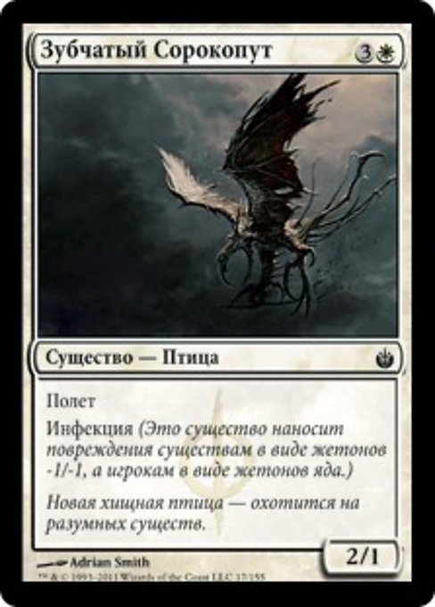 Зубчатый Сорокопут