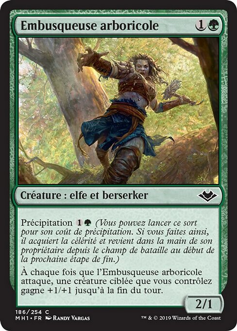 Embusqueuse arboricole