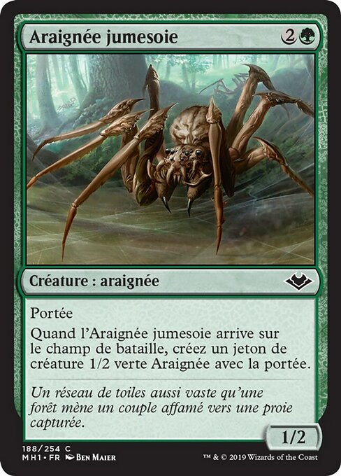 Araignée jumesoie