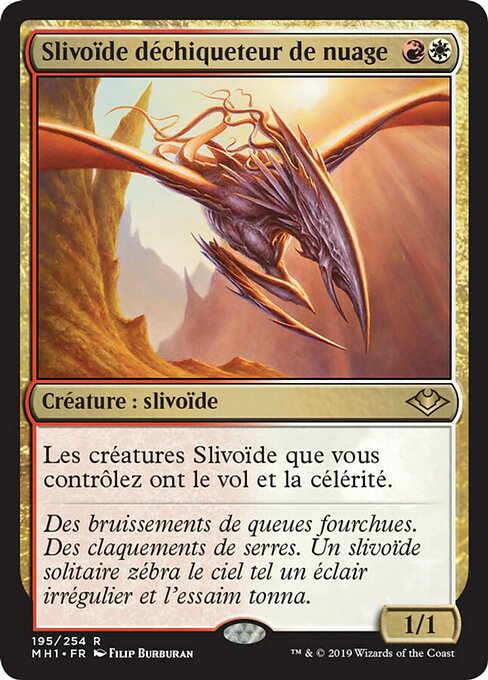 Slivoïde déchiqueteur de nuage