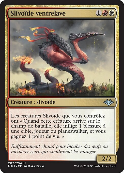 Slivoïde ventrelave