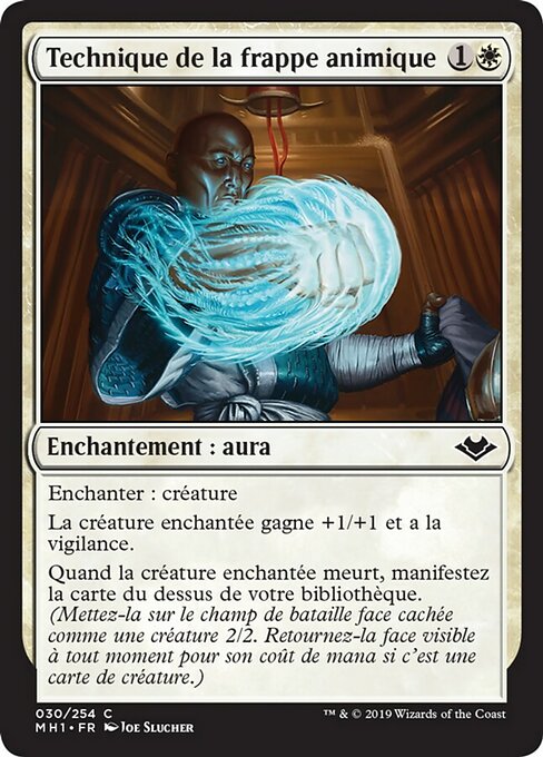 Technique de la frappe animique