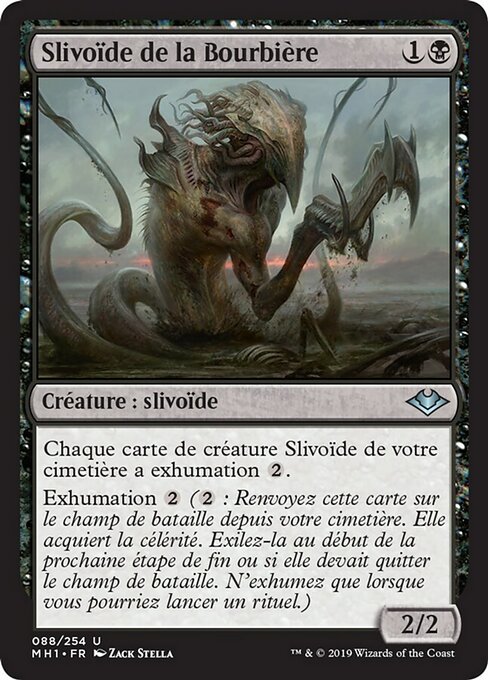 Slivoïde de la Bourbière