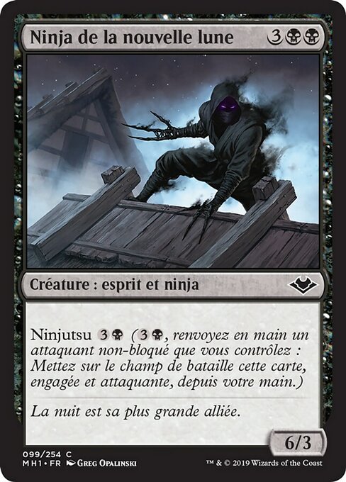Ninja de la nouvelle lune