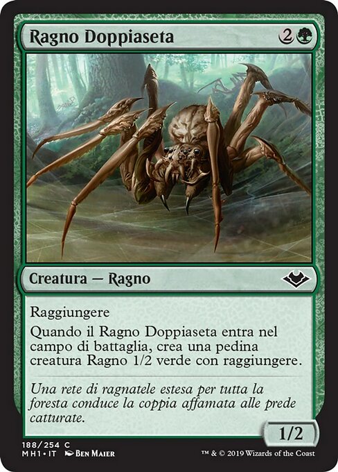 Ragno Doppiaseta