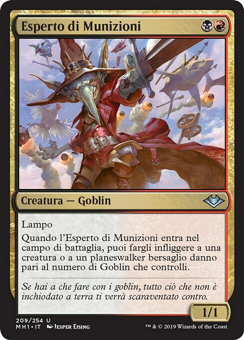 Esperto di Munizioni