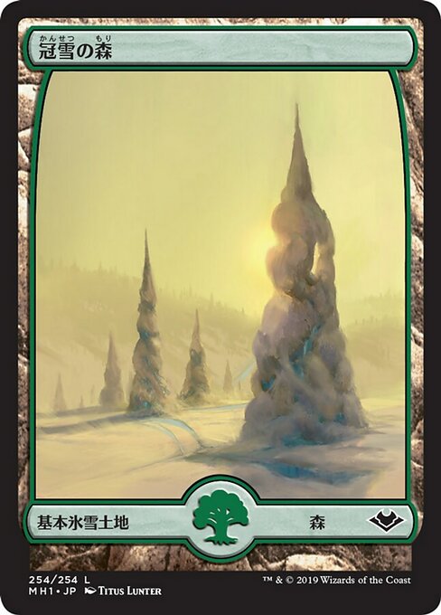 Snow-Covered Forest