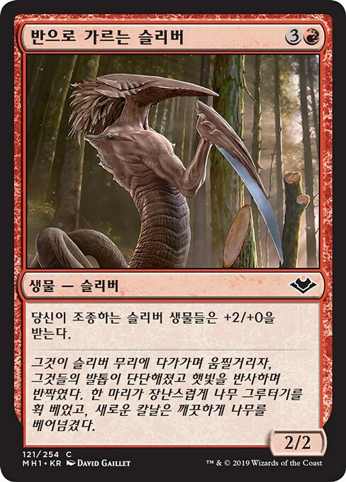 반으로 가르는 슬리버