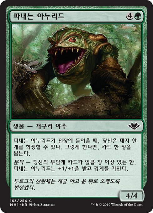 파내는 아누리드