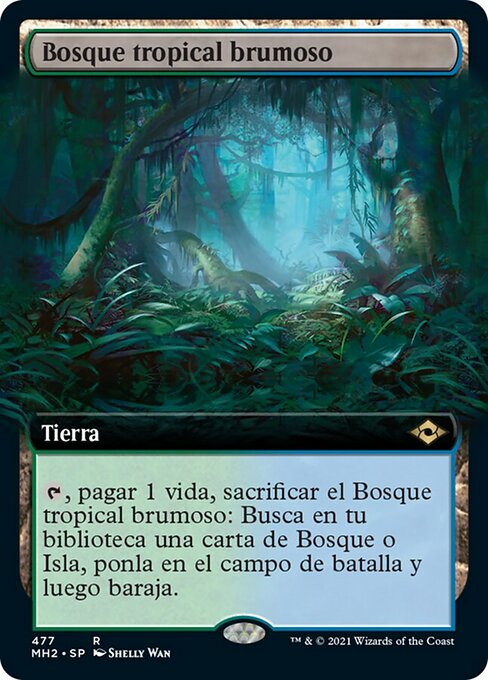 Bosque tropical brumoso