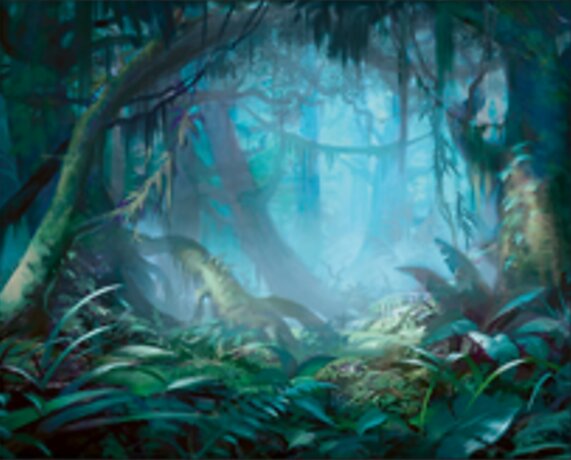 Forêt pluviale embrumée