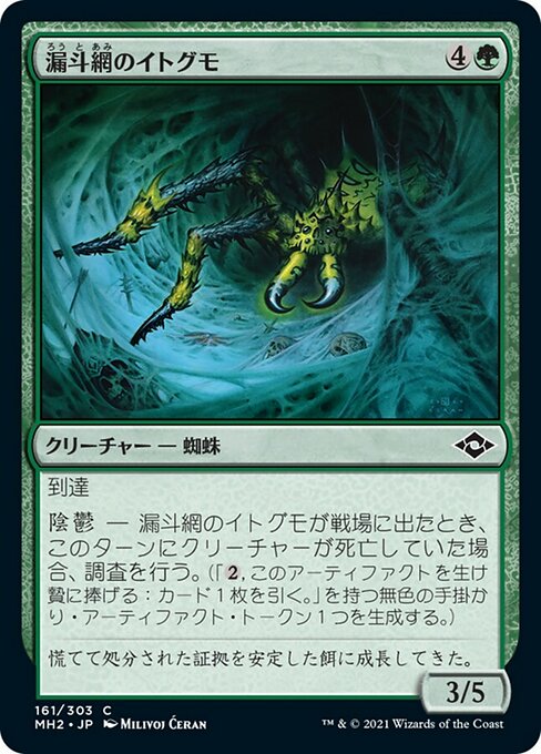 漏斗網のイトグモ