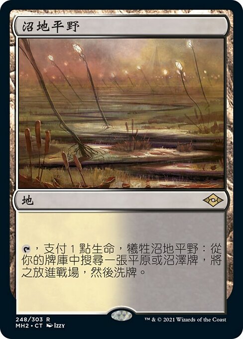 沼地平野