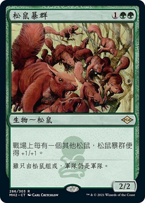 松鼠暴群