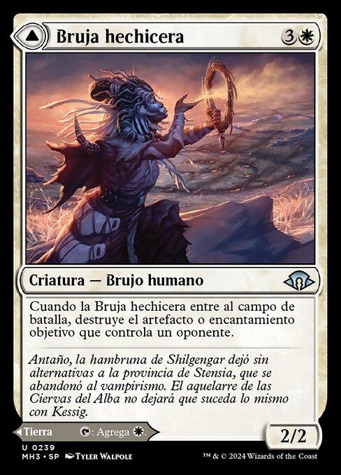 Witch Enchanter // Witch-Blessed Meadow