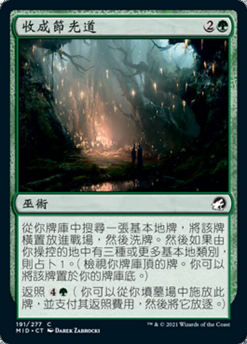 Path to the Festival