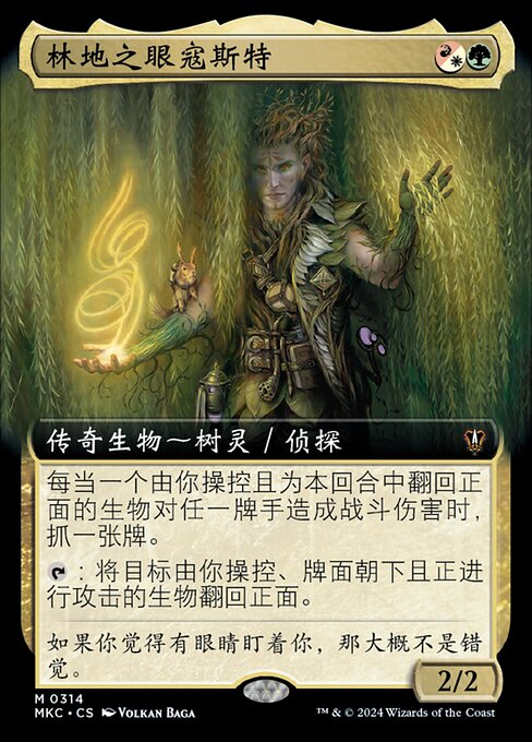 林地之眼寇斯特