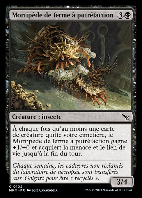 Mortipède de ferme à putréfaction