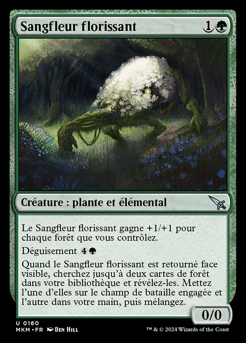 Sangfleur florissant