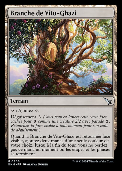 Branche de Vitu-Ghazi