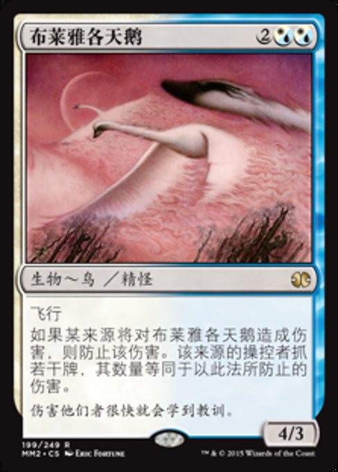 Swans of Bryn Argoll