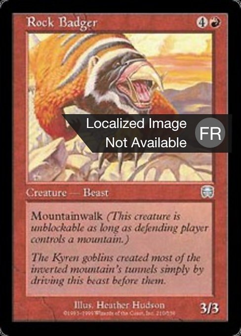 Blaireau des rochers