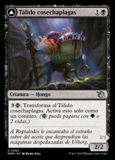 Blightreaper Thallid // Blightsower Thallid