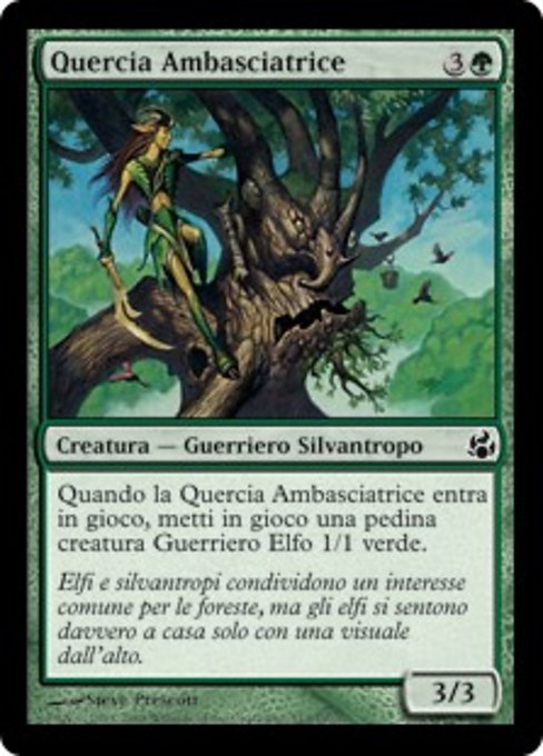 Quercia Ambasciatrice