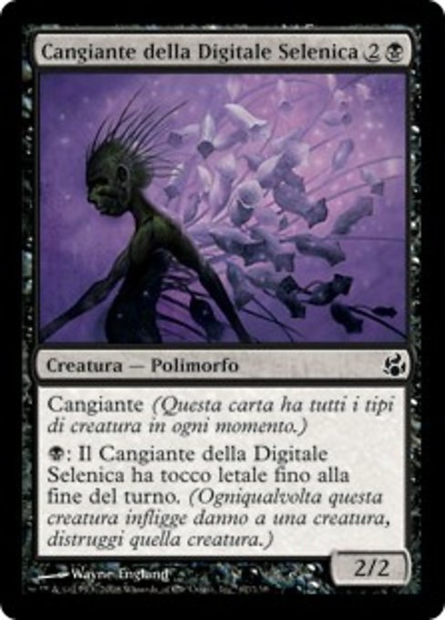 Cangiante della Digitale Selenica