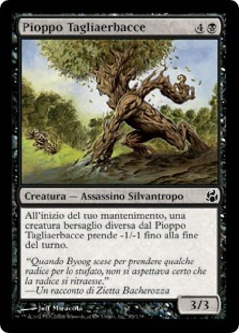 Pioppo Tagliaerbacce