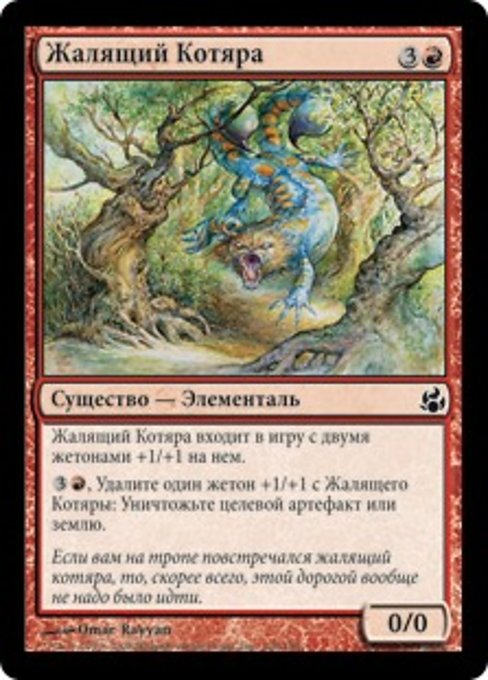 Жалящий Котяра
