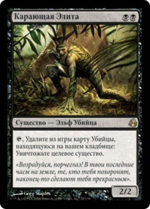 Карающая Элита